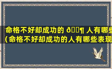 命格不好却成功的 🐶 人有哪些（命格不好却成功的人有哪些表现）